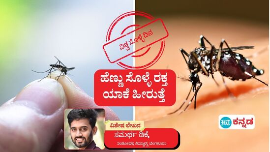 World Mosquito Day; ವಿಶ್ವ ಸೊಳ್ಳೆ ದಿನದ ನಿಮಿತ್ತ ಬೆಂಗಳೂರು ನಿಮ್ಹಾನ್ಸ್‌ನ ಸಂಶೋಧಕ ಸಮರ್ಥ ಡಿಕೆ ಅವರ ಲೇಖನ