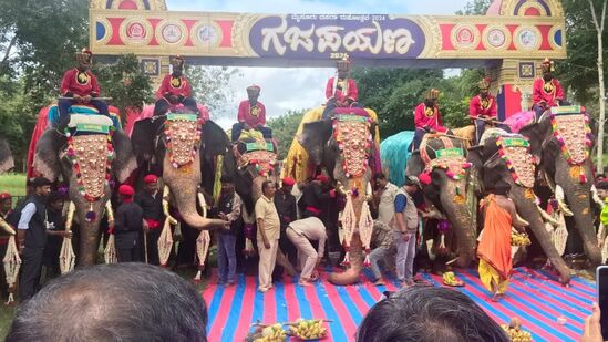 ಮೈಸೂರು- ಕೊಡಗು ಜಿಲ್ಲೆ ಗಡಿ ವೀರನಹೊಸಹಳ್ಳಿ ಬಳಿ ಆನೆಗಳನ್ನು ಅರಣ್ಯ ಇಲಾಖೆ ಹಾಗೂ ದಸರಾ ಸಮಿತಿಯಿಂದ ಬರ ಮಾಡಿಕೊಳ್ಳಲಾಯಿತು.