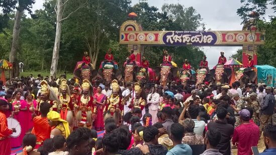 ದಸರಾ ಆನೆಗಳು ಹತ್ತು ತಿಂಗಳು ಕಾಡಿನಲ್ಲಿದ್ದರೆ. ಎರಡು ತಿಂಗಳು ಮೈಸೂರಿನಲ್ಲಿರಲಿವೆ. ಅವುಗಳಿಗೆ ವಿಶೇಷ ಆರೈಕೆಯನ್ನು ಈ ವೇಳೆ ಮಾಡಲಾಗುತ್ತದೆ.