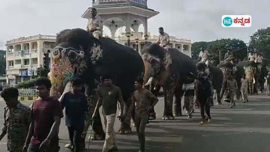 ಮೈಸೂರು ಅರಮನೆಯಿಂದ ಬನ್ನಿಮಂಟಪದವರೆಗೂ ದಸರಾ ಆನೆಗಳಿಗೆ ತಾಲೀಮು ನಡೆಯುತ್ತದೆ. ಹೀಗೆ, ಪ್ರತಿ ನಿತ್ಯ ಬೆಳಿಗ್ಗೆ ಮತ್ತು ಸಂಜೆ ವೇಳೆ ದಸರಾ ಆನೆಗಳಿಗೆ ತಾಲೀಮು ನಡೆಯಲಿದೆ.