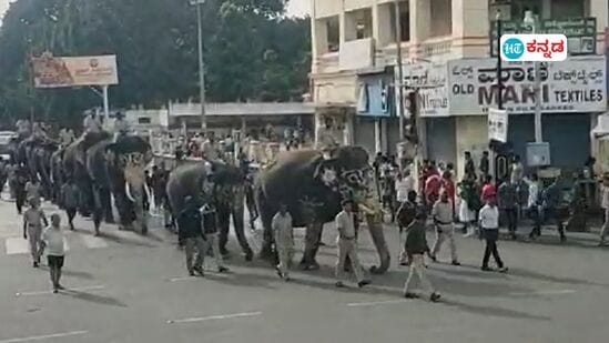 ಮೈಸೂರು ದಸರಾ ಮಹೋತ್ಸವಕ್ಕೆ ದಿನಗಣನೆ ಶುರುವಾಗಿದೆ. ಈಗಾಗಲೇ ಮೈಸೂರು ತಲುಪಿರುವ ಗಜಪಡೆಯ ತೂಕ ನೋಡುವಿಕೆ ಎಲ್ಲ ಪೂರ್ಣಗೊಂಡಿದೆ. ಇಂದು (ಆಗಸ್ಟ್ 25) ಮೈಸೂರಿನ ರಾಜಬೀದಿಗಳಲ್ಲಿ ಗಾಂಭೀರ್ಯದಿಂದ ಹೆಜ್ಜೆ ಹಾಕಿದ ಕ್ಯಾಪ್ಟನ್ ಅಭಿಮನ್ಯು ನೇತೃತ್ವದ ದಸರಾ ಗಜಪಡೆಯ ಒಂದು ನೋಟ.