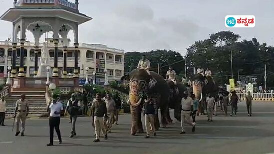 ಮೈಸೂರು ದಸರಾ ಮಹೋತ್ಸವಕ್ಕಾಗಿಯೇ ಮೊದಲ ಹಂತದಲ್ಲಿ ಆನೆ ಕ್ಯಾಂಪ್‌ಗಳಿಂದ ಅರಮನೆಗೆ 9 ಆನೆಗಳು ಆಗಮಿಸಿವೆ. ಈ ಬಾರಿ ಕ್ಯಾಪ್ಟನ್ ಅಭಿಮನ್ಯು ನೇತೃತ್ವದಲ್ಲಿ ದಸರಾ ಅಂಬಾರಿ ಮೆರವಣಿಗೆ ನಡೆಯಲಿದೆ.&nbsp;