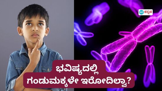 ಕ್ಷೀಣಿಸುತ್ತಿದೆ Y Chromosomes ಸಂಖ್ಯೆ