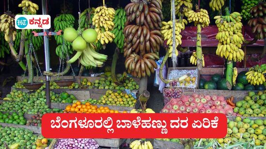 ಗೌರಿ ಗಣೇಶ ಹಬ್ಬಕ್ಕೆ ವಾರ ಇರುವಾಗಲೇ ಬಾಳೆಹಣ್ಣು ಬೆಲೆ ಗಗನಮುಖಿ (ಸಾಂಕೇತಿಕ ಚಿತ್ರ)