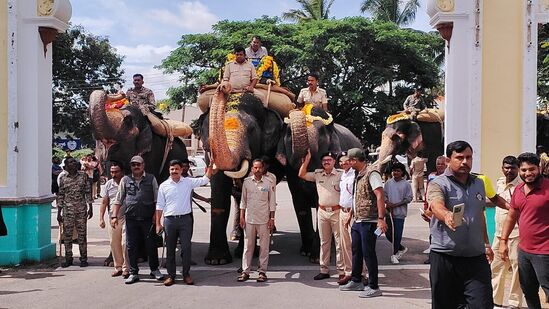 ಅಭಿಮನ್ಯು ಆನೆಗೆ ಭಾರ ಹೊರುವ ತಾಲೀಮು ಭಾನುವಾರ ಮೈಸೂರು ಅರಮನೆ ಆವರಣದಲ್ಲಿ ಶುರುವಾಯಿತು.