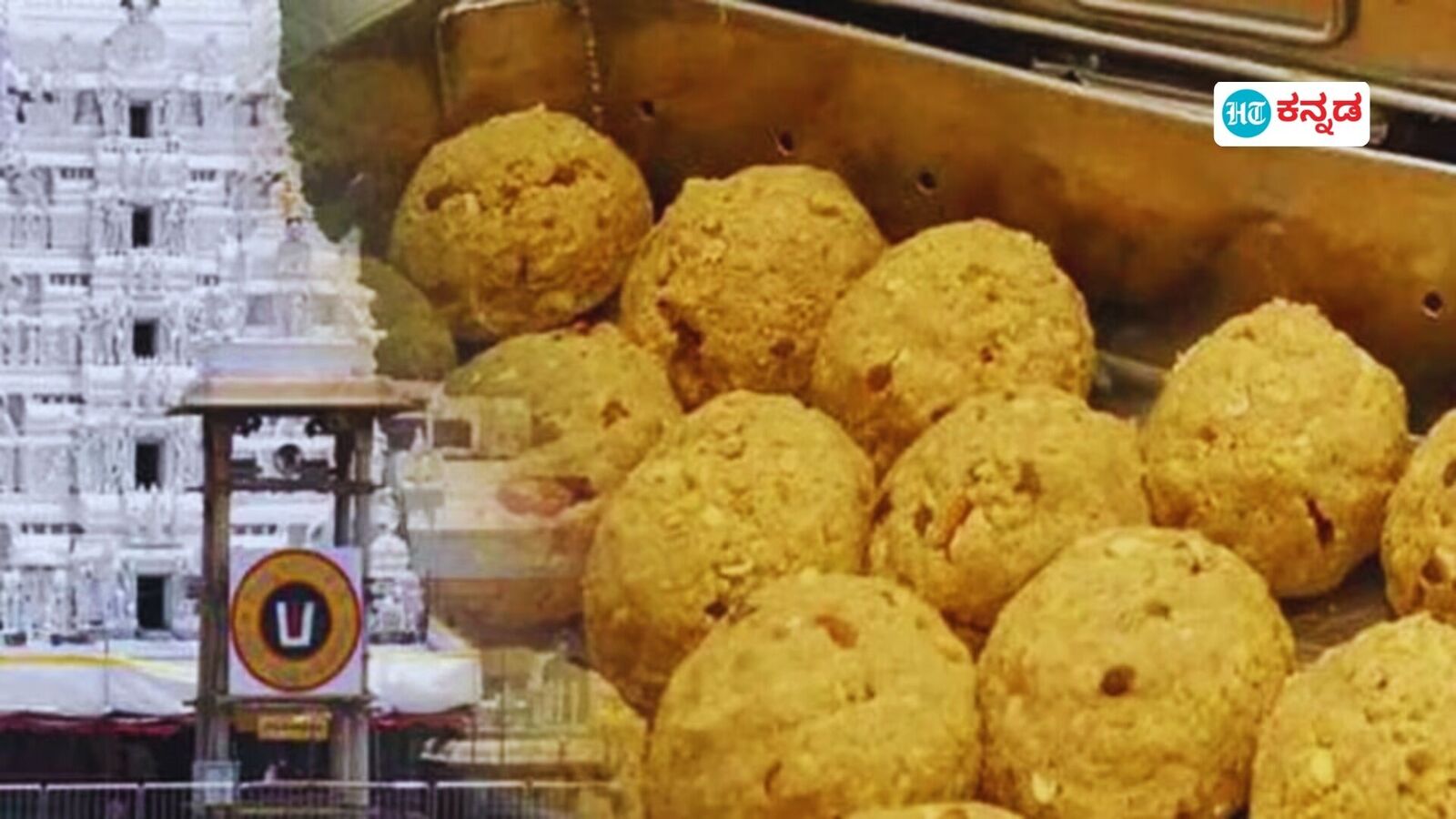 ತಿರುಪತಿ ತಿಮ್ಮಪ್ಪನ ಭಕ್ತರಿಗೆ ಗುಡ್​​ನ್ಯೂಸ್; ಲಡ್ಡು ವಿಚಾರಕ್ಕೆ ಸಂಬಂಧಿಸಿ ಹೊಸ ನಿಯಮ ಜಾರಿಗೆ ತಂದ ಟಿಟಿಡಿ