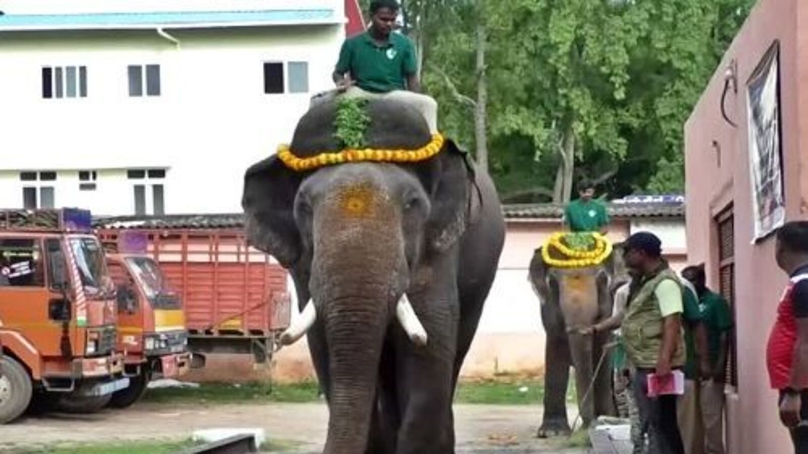 Mysore Dasara2024: ಮೈಸೂರು ದಸರಾ ಎರಡನೇ ತಂಡದ ಆನೆಗಳ ತೂಕ ಪರೀಕ್ಷೆ, ಸುಗ್ರೀವನೇ ಬಲಶಾಲಿ; ಪ್ರಶಾಂತಗೆ ಶುರುವಾಯ್ತು ಭೇದಿ