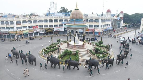 ಮೈಸೂರಿನ ದೇವರಾಜ ಮೊಹಲ್ಲಾದ ಧನ್ವಂತರಿ ರಸ್ತೆಯಲ್ಲಿರುವ ಸಾಯಿರಾಂ ಅಂಡ್ ಕೊ., ಎಲೆಕ್ಟ್ರಾನಿಕ್ ತೂಕ ಮಾಪನ ಕೇಂದ್ರದಲ್ಲಿ ಆನೆಗಳ ತೂಕ ಪರೀಕ್ಷೆ ನಡೆಯಿತು. ದಸರಾ ಗಜಪಡೆಯ ಕ್ಯಾಪ್ಟನ್ ಅಭಿಮನ್ಯುವಿನ ಬಳಿಕ ಅತಿ ಹೆಚ್ಚು ತೂಕ ಹೊಂದಿರುವ ಆನೆ ಸುಗ್ರೀವ.