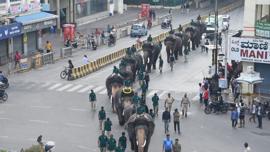 ಸೆಪ್ಟೆಂಬರ್ 15ರ ಬಳಿಕ ಮರದ ಅಂಬಾರಿ ಹೊರಿಸಿ ತಾಲಿಮು ನಡೆಸಲಾಗುತ್ತದೆ. ವರಲಕ್ಷ್ಮಿ ಕ್ಯಾಂಪ್‌ನ ಅತ್ಯಂತ ಹಿರಿಯ ಆನೆಯಾಗಿದೆ. ಅವಶ್ಯಕತೆ ಇದ್ದಾಗ ಮಾತ್ರ ವರಲಕ್ಷ್ಮಿ ಆನೆಯನ್ನು ತಾಲಿಮಿಗೆ ಕರೆ ತರಲಾಗುತ್ತದೆ ಎಂದು ತಿಳಿಸಿದ್ದಾರೆ.