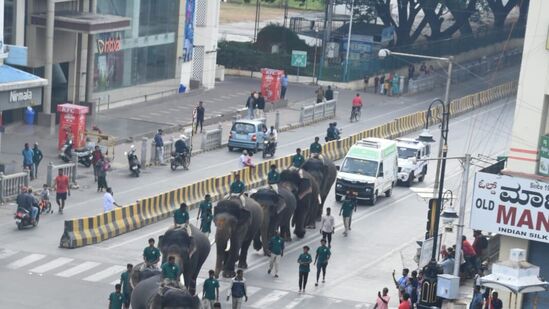 ದಸರಾ ಆನೆಗಳ ತೂಕ‌ ಪರೀಕ್ಷೆ ಕುರಿತು ಮಾತನಾಡಿದ ಡಿಸಿಎಫ್ ಡಾ.ಐಬಿ ಪ್ರಭುಗೌಡ, ಎರಡನೇ ಹಂತದ ದಸರಾ ಗಜಪಡೆಗೆ ಇಂದು ತೂಕ ಪರೀಕ್ಷೆ ಮಾಡಲಾಗಿದೆ. ನೆನ್ನೆಯಷ್ಟೇ ಐದು ಆನೆಗಳು ಅರಮನೆ ಅವರಣಕ್ಕೆ ಬಂದಿವೆ. ಅಭಿಮನ್ಯುವಿನ ನಂತರ ಸುಗ್ರೀವ ಅತಿ ಹೆಚ್ಚು ತೂಕ ಹೊಂದಿದ್ದಾನೆ ಎಂದರು.