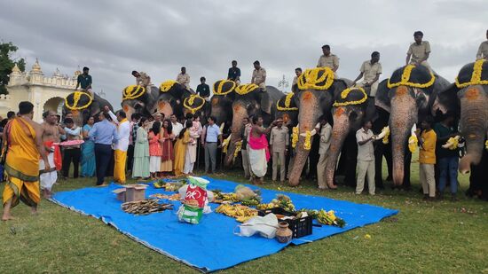 ದಸರಾ ಗಜಪಡೆಗೆ ವಿಶೇಷ ಪೂಜೆ ನೆರವೇರಿದ ಬಳಿಕ ಮಾತನಾಡಿದ ಸಿಎಫ್ ಡಾ ಮಾಲತಿಪ್ರಿಯಾ, ಗಣೇಶ ಹಬ್ಬದ ಅಂಗವಾಗಿ ವಾಡಿಕೆಯಂತೆ ಆನೆಗಳಿಗೆ ಸಾಂಪ್ರದಾಯಿಕವಾಗಿ ವಿಶೇಷ ಪೂಜೆ ಸಲ್ಲಿಸಲಾಗಿದೆ. ಮೊದಲ ಹಂತದಲ್ಲಿ 9 ಆನೆಗಳು ಬಂದಿದ್ದವು. ಎರಡನೇ ಹಂತದಲ್ಲಿ 5 ಆನೆಗಳು ಆಗಮಿಸಿವೆ. ಗಣೇಶ ಹಬ್ಬದ ಹಿನ್ನೆಲೆಯಲ್ಲಿ ಇಂದು ಸಾಂಪ್ರದಾಯಿಕ ಪೂಜೆ ಸಲ್ಲಿಸಲಾಗಿದೆ ಎಂದರು.