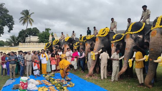 ಪೂಜೆಯಲ್ಲಿ ಎಲ್ಲಾ ಆನೆಗಳು ಭಾಗಿಯಾಗಿವೆ. ಎಲ್ಲಾ ಆನೆಗಳ ಆರೋಗ್ಯ ಉತ್ತಮವಾಗಿದೆ. ಅರ್ಜುನ ಆನೆ ನಿಶಾನೆ ಆನೆಯಾಗಿ ದಸರಾದಲ್ಲಿ ಭಾಗಿಯಾಗುತ್ತಿತ್ತು. ಈಗ ಆತನಿಲ್ಲದ ಕಾರಣ ಹೊಸ ನಿಶಾನೆ ಆನೆಯನ್ನು ಗುರುತಿಸಬೇಕಾಗಿದೆ. ಯಾವ ಆನೆಯನ್ನು ನಿಶಾನೆ ಆನೆಯನ್ನಾಗಿ ನೇಮಿಸಬೇಕೆಂದು ಶೀಘ್ರದಲ್ಲೇ ನಿರ್ಧಾರ ಮಾಡುತ್ತೇವೆ. ಯಾವ್ಯಾವ ಆನೆಗಳಿಗೆ ಯಾವ ಜವಾಬ್ದಾರಿ ನೀಡಬೇಕೆಂದು ನಿರ್ಧಾರ ಮಾಡಬೇಕಿದೆ.&nbsp;