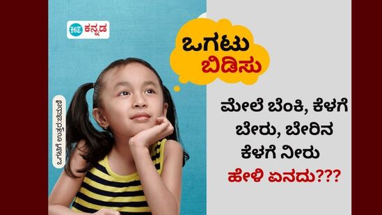 ಮೇಲೆ ಬೆಂಕಿ, ಕೆಳಗೆ ಬೇರು, ಬೇರಿನ ಕೆಳಗೆ ನೀರು; ಹೇಳಿ ಏನದು???