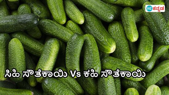 ಇದೇನ್ರೀ ಇಂಥ ಸೌತೆಕಾಯಿ ತಂತಿದ್ದೀರಿ ಅಂತ ಬೈಸಿಕೊಳ್ಳಬಾರದು ಅಂತಿದ್ರೆ ಈ ವಿಷ್ಯ ತಿಳ್ಕೊಂಡಿರಿ ಇದೇನ್ರೀ ಇಂಥ ಸೌತೆಕಾಯಿ ತಂತಿದ್ದೀರಿ ಅಂತ ಬೈಸಿಕೊಳ್ಳಬಾರದು ಅಂತಿದ್ರೆ ಈ ವಿಷ್ಯ ತಿಳ್ಕೊಂಡಿರಿ