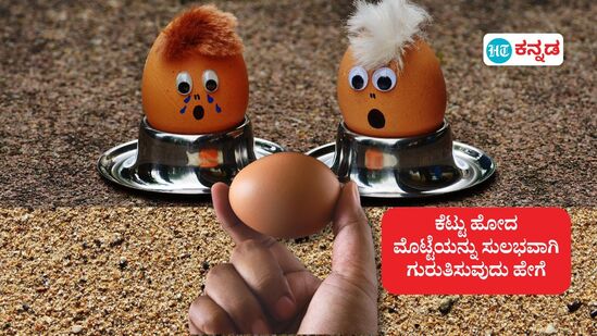 ಕೆಟ್ಟು ಹೋದ ಮೊಟ್ಟೆಯನ್ನು ಸುಲಭವಾಗಿ ಗುರುತಿಸಲು ಈ ಟಿಪ್ಸ್ ಫಾಲೊ ಮಾಡಿ (ಸಾಂಕೇತಿಕ ಚಿತ್ರ) ಕೆಟ್ಟು ಹೋದ ಮೊಟ್ಟೆಯನ್ನು ಸುಲಭವಾಗಿ ಗುರುತಿಸಲು ಈ ಟಿಪ್ಸ್ ಫಾಲೊ ಮಾಡಿ (ಸಾಂಕೇತಿಕ ಚಿತ್ರ)