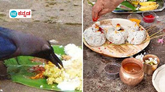 Pitru Dosha; ಪಿತೃದೋಷ ಎಂದರೇನು ಅದರ ಪರಿಣಾಮ ಮತ್ತು ಪರಿಹಾರಗಳೇನು, ಪಿತೃಗಳನ್ನು ಸಂತೃಪ್ತಗೊಳಿಸುವುದು ಹೇಗೆ ಎಂಬುದರ ವಿವರ. (ಸಾಂಕೇತಿಕ ಚಿತ್ರ)