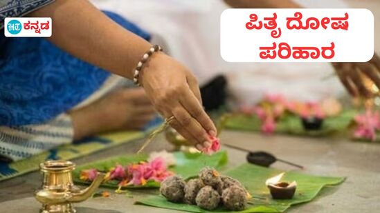 Pitru Dosha: ಈ ಎಲ್ಲಾ ಸಮಸ್ಯೆಗಳು ಪಿತೃ ದೋಷದ ಲಕ್ಷಣಗಳು; ಪರಿಹಾರಕ್ಕಾಗಿ ಹೀಗೆ ಪ್ರಯತ್ನಿಸಿ ನೋಡಿ