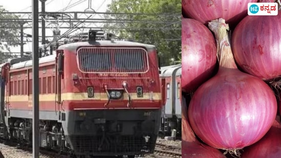 Indian Railway Heroes: ಈರುಳ್ಳಿ ನೆರವಿನಿಂದ ವ್ಯಕ್ತಿ ಜೀವ ಉಳಿಸಿದ ರೈಲ್ವೆ ಟಿಟಿ