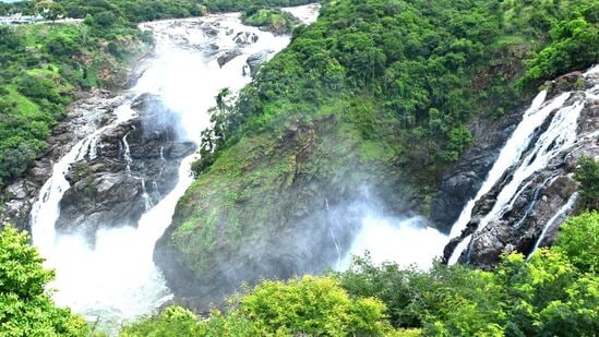 ಕೆಲ ವರ್ಷಗಳ ಬಿಡುವಿನ ಬಳಿಕ ಮಂಡ್ಯ ಜಿಲ್ಲೆಯಲ್ಲಿ ಗಗನಚುಕ್ಕಿ ಜಲಪಾತೋತ್ಸವ ಈ ವಾರಾಂತ್ಯದಲ್ಲಿ ಆಯೋಜನೆಗೊಂಡಿದೆ. ಪ್ರಕೃತ್ತಿ ದತ್ತವಾಗಿ ಚಲುವನ್ನು ಹೊಂದಿರುವ ಗಗನಚುಕ್ಕಿಗೆ ಜನರನ್ನು ಸೆಳೆಯಲು ವಿಜೃಂಭಣೆಯಿಂದ ಜಲಪಾತೋತ್ಸವ ಕಾರ್ಯಕ್ರಮವನ್ನು ಸೆಪ್ಟೆಂಬರ್ 14 ಹಾಗೂ 15 ರಂದು ಹಮ್ಮಿಕೊಳ್ಳಲಾಗಿದೆ.