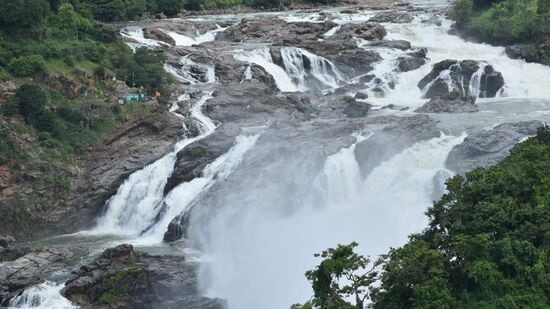 ಮೇಲಿಂದ ಧುಮ್ಮುಕ್ಕಿ ಕಣಿವೆ ಕಡೆಗೆ ಬೀಳುವ ಕಾವೇರಿ ನದಿಯನ್ನು ಗಗನಚುಕ್ಕಿಯಾಗಿ ನೋಡುವ ಖುಷಿಯೇ ಬೇರೆ. ಈಗಲೂ ಸಹಸ್ರಾರು ಪ್ರವಾಸಿಗರು ಇಲ್ಲಿಗೆ ಆಗಮಿಸಿ ಕಣ್ತುಂಬಿಕೊಳ್ಳುತ್ತಾರೆ.