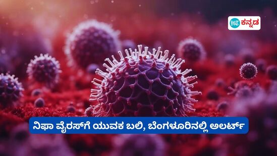 ಬೆಂಗಳೂರಿನಿಂದ ಕೇರಳಕ್ಕೆ ಹೋಗಿದ್ದ ಯುವಕ ನಿಫಾ ವೈರಸ್​ಗೆ ಬಲಿ