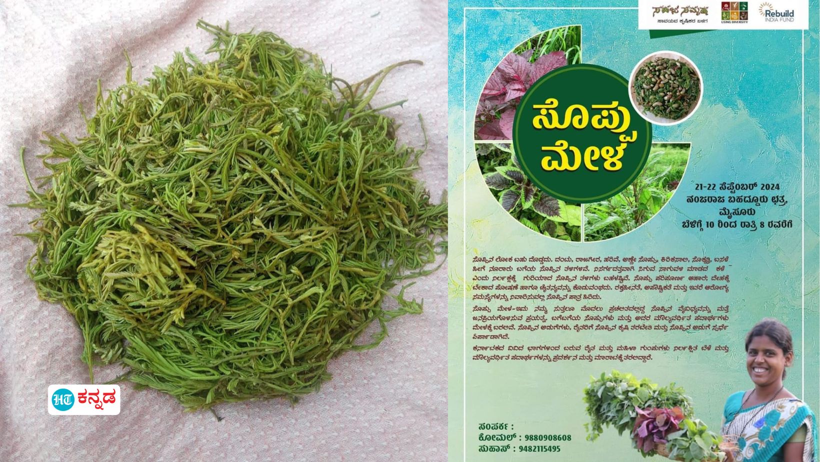 ಸೆಪ್ಟೆಂಬರ್ 21, 22 ಮೈಸೂರಿನಲ್ಲಿ ಸೊಪ್ಪು ಮೇಳ 