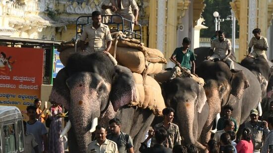 ಒಂದು ತಿಂಗಳಿನಿಂದ ಮೈಸೂರು ಅರಮನೆ ಆವರಣದಲ್ಲಿ ಬೀಡು ಬಿಟ್ಟಿರುವ ಏಕಲವ್ಯ ಮಾವುತ ಸೃಜನ್ ಹಾಗು ಕಾವಾಡಿ ಹಿದಾಯತ್ ಎಲ್ಲಾ ಸೂಚನೆಗಳನ್ನು ಪಾಲಿಸುತ್ತಾನೆ. ಇದರಿಂದ ಆತನಿಗೂ ಬಾರಿ ಭಾರ ಹೊರುವ ತಾಲೀಮುಗಳೂ ನಡೆದಿವೆ.