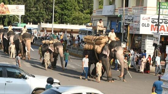 ಎಂತಹ ಸನ್ನಿವೇಶದಲ್ಲೂ ಕೂಲ್‌ ಆಗಿಯೇ ಇರುವ ಏಕಲವ್ಯ ಮಾವುತ ಹಾಗೂ ಕವಾಡಿಯ ಸುಪರ್ದಿಯಲ್ಲಿ ಬದಲಾಗಿದ್ದಾನೆ, ಮಾಗುತ್ತಿದ್ದಾನೆ, ಮೊದಲ ದಸರಾದಲ್ಲೇ ಗಮನ ಸೆಳೆದಿದ್ದಾನೆ.