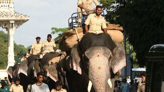 ಮೂಡಿಗೆರೆ ಹಾಗೂ ಸುತ್ತಮುತ್ತಲಿನ ಪ್ರದೇಶಗಳಲ್ಲಿ ತೋಟಗಳಿಗೆ ನುಗ್ಗಿ, ಜಮೀನುಗಳಲ್ಲಿ ಬೆಳೆ ನಾಶ ಮಾಡುತ್ತಲೇ ಹೆಸರುವಾಸಿಯಾಗಿದ್ದ ಆನೆಯನ್ನು ಐದು ವರ್ಷದ ಹಿಂದೆ ಅರಣ್ಯ ಇಲಾಖೆ ಸೆರೆ ಹಿಡಿದಿತ್ತು,&nbsp;