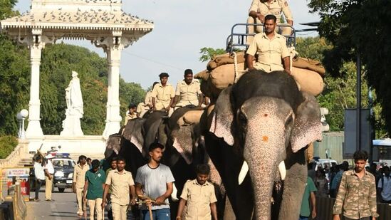 ಇದರ ಹೆಸರು ಏಕಲವ್ಯ. ಐದು ವರ್ಷದ ಹಿಂದೆ ಚಿಕ್ಕಮಗಳೂರು ಜಿಲ್ಲೆ ಮೂಡಿಗೆರೆಯ ಪುಂಡಾನೆಯಾಗಿ ಹೆಸರುವಾಸಿಯಾಗಿದ್ದ. ಈಗ ಮೈಸೂರು ದಸರಾ ಗಜಪಡೆಯ ತಂಡದ ಸದಸ್ಯ.