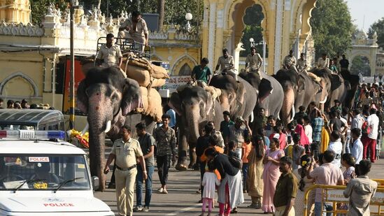 ಈ ವರ್ಷ ಅರಣ್ಯ ಇಲಾಖೆ ಅಧಿಕಾರಿಗಳ ತಂಡ ಆನೆ ಶಿಬಿರಗಳಿಗೆ ಹೋದಾಗ ಕಣ್ಣಿಗೆ ಬಿದ್ದವನೇ ಏಕಲವ್ಯ. ದಸರಾ ಹಿರಿಯ ಆನೆಗಳು ಒಂದೊಂದಾಗಿ ಮೃತಪಡುತ್ತಿರುವ ನಡುವೆ ಹೊಸ ಆನೆ ಹುಡುಕಾಟ ನಡೆದಿತ್ತು. ಅರ್ಜುನನಂತೆ ಇರುವ ಏಕಲವ್ಯ ಕೂಡ ದಸರಾ ಪಟ್ಟಿಯಲ್ಲಿ ಸ್ಥಾನ ಪಡೆದುಕೊಂಡೇ ಬಿಟ್ಟ.