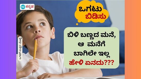 ಬಿಳಿ ಬಣ್ಣದ ಮನೆ, ಆ ಮನೆಗೆ ಬಾಗಿಲೇ ಇಲ್ಲ; ಹೇಳಿ ಏನದು???