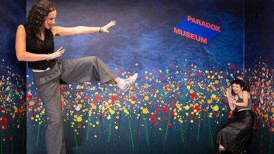 ಪ್ಯಾರಡಾಕ್ಸ್ ಮ್ಯೂಸಿಯಂ &nbsp;ಕಲೆ, ವಿಜ್ಞಾನ ಮತ್ತು ಆಪ್ಟಿಕಲ್ ಭ್ರಮೆಗಳನ್ನು ಅನುಭವದ ಮನರಂಜನೆಯನ್ನಾಗಿ ಪ್ರೇಕ್ಷಕರಿಗೆ ಒದಗಿಸುವ ಒಂದು ಜಾಗತಿಕ ಬ್ರ್ಯಾಂಡ್.