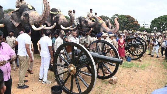 ಮೈಸೂರಿನಲ್ಲಿ ದಸರಾ ಗಜಪಡೆಗೆ ಕುಶಾಲು ತೋಪಿನ ತಾಲೀಮು ಯಶಸ್ವಿಯಾಗಿ ನಡೆಯಿತು,