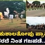 30 ಅಶ್ವಗಳು, 14 ದಸರಾ ಆನೆಗಳ ಮುಂದೆ ಕುಶಾಲತೋಪು ಸಿಡಿಸುವ ಮೊದಲ ತಾಲೀಮು ಯಶಸ್ವಿ