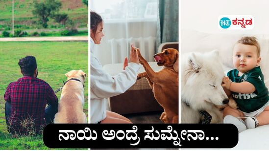 ನಾಯಿ ಪ್ರೀತಿ ಮತ್ತು ಕರುಳಿನ ಆರೋಗ್ಯ; ಹೊಸ ಅಧ್ಯಯನ  (ಸಾಂಕೇತಿಕ ಚಿತ್ರ)