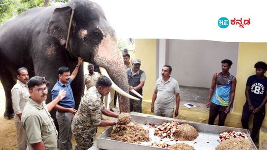 ಮೈಸೂರು ದಸರಾ ಜಂಬೂಸವಾರಿಯ ಆನೆಗಳಿಗೆ ವಿಶೇಷ ಊಟದ ವ್ಯವಸ್ಥೆ ಎಷ್ಟು ಚೆಂದ ಇದೆ ನೋಡಿ. ಮೈಸೂರು ದಸರಾ ಜಂಬೂಸವಾರಿಯ ಆನೆಗಳಿಗೆ ವಿಶೇಷ ಊಟದ ವ್ಯವಸ್ಥೆ ಎಷ್ಟು ಚೆಂದ ಇದೆ ನೋಡಿ.