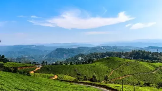 ಮುನ್ನಾರ್ ಕೇರಳದ ಹನಿಮೂನ್ ಸ್ಪಾಟ್‌ಗಳ ಪೈಕಿ ಮೊದಲನೆಯದಾಗಿದೆ. ಸೊಂಪಾದ ಹಸಿರು ಚಹಾ ತೋಟಗಳು, ಬಿಳಿ ಮಂಜು ಮತ್ತು ಮುಂಜಾನೆಯ ಸೂರ್ಯನ ಬೆಳಕು ಇಲ್ಲಿ ಬಹಳ ವಿಶೇಷ. ಅನೇಕ ನವ ಜೋಡಿಗಳು ಮೊದಲು ಭೇಟಿಕೊಡಲು ಇಷ್ಟಪಡುವುದು ಈ ಪ್ರದೇಶಕ್ಕೆ. ಮುನ್ನಾರ್‌ನ ಪ್ರಕೃತಿ ಸೌಂದರ್ಯವನ್ನು ಆನಂದಿಸುತ್ತಾರೆ, ಹನಿಮೂನ್‌ ಕ್ಷಣವನ್ನು ತಮ್ಮ ಜೀವನದುದ್ದಕ್ಕೂ ಸ್ಮರಣೀಯವಾಗಿಸುತ್ತಾರೆ.