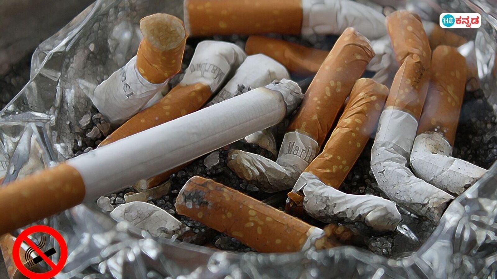 ಸಿಗರೇಟ್ ತುಂಡು ಹಾಕಲು ಪ್ರತ್ಯೇಕ ಕಸದ ಬುಟ್ಟಿ; ಹೊಗೆ ಹಾಕಿಸುವ ಕಾರ್ಯಕ್ರಮಕ್ಕೆ ಬಿಬಿಎಂಪಿ ರಾಯಭಾರಿ; ರಾಜೀವ ಹೆಗಡೆ ಬರಹ