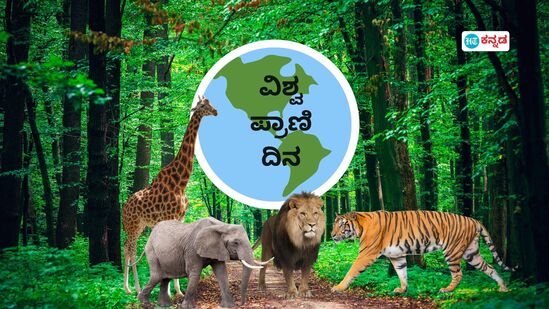 ಪ್ರಾಣಿಪ್ರಿಯರ ಜೊತೆ ಮೂಕ ಮನಸುಗಳ ಮಾತು ಕೇಳಿ ಪ್ರಾಣಿಪ್ರಿಯರ ಜೊತೆ ಮೂಕ ಮನಸುಗಳ ಮಾತು ಕೇಳಿ