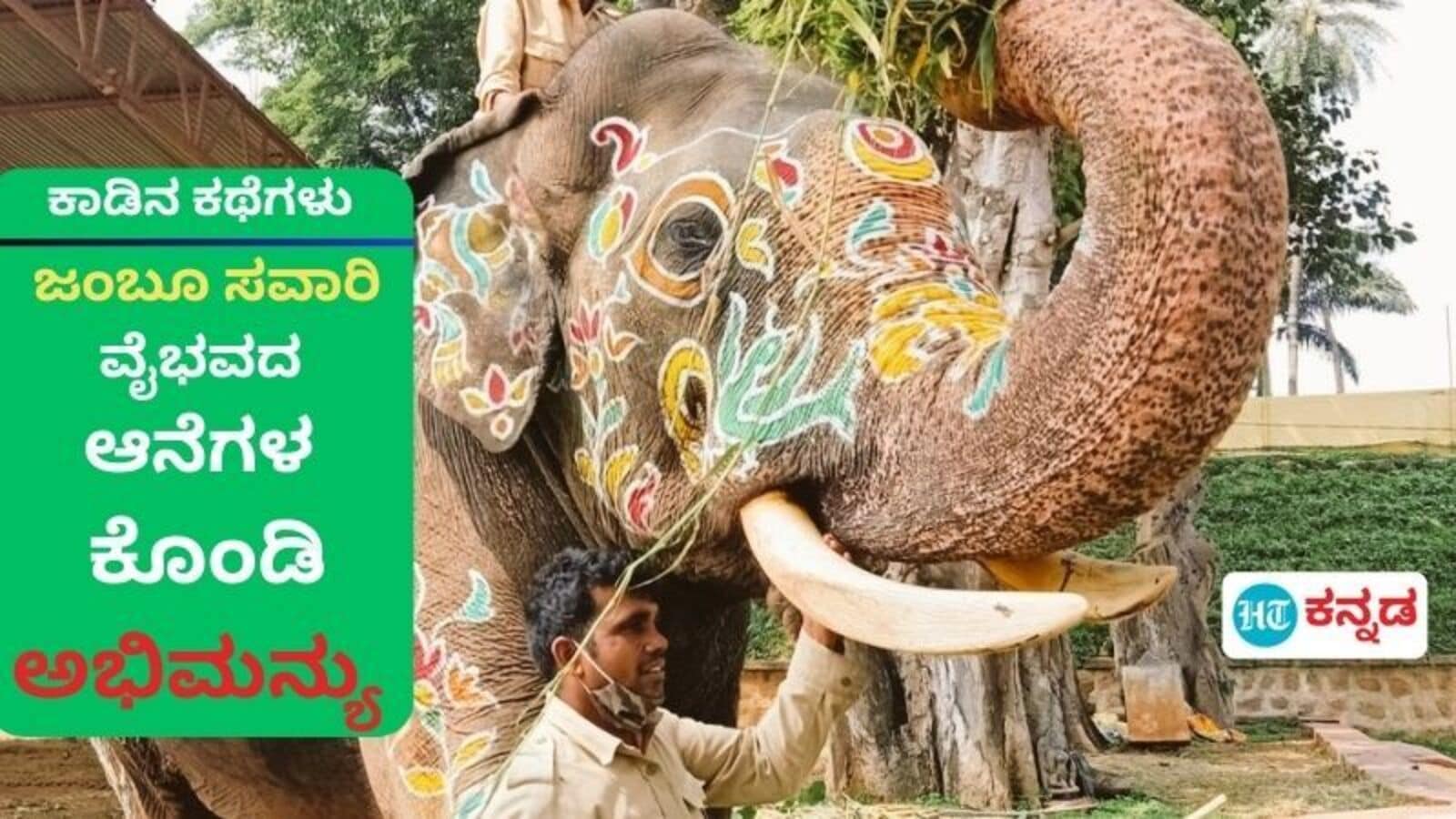 ಮೈಸೂರು ಜಂಬೂ ಸವಾರಿ ಹಳೆಯ ಆನೆಗಳ ಕೊನೆಯ ಕೊಂಡಿ ಅಭಿಮನ್ಯು; ಮುಂದಿನ ವರ್ಷ ಅಂಬಾರಿ ಹೊತ್ತರೆ ಮುಗಿಯಿತು, ಇನ್ನು ಹೊಸ ಆನೆಗಳದ್ದೇ ಜಮಾನ