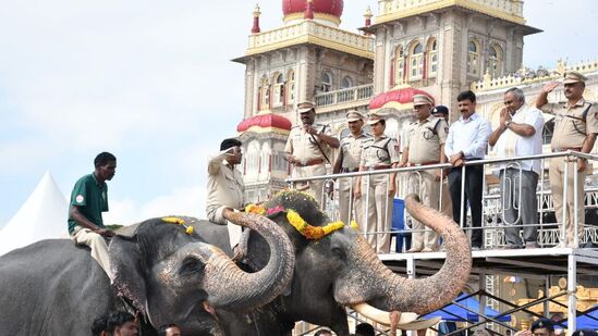 ಮೈಸೂರು ದಸರಾ ಜಂಬೂ ಸವಾರಿ ಪೂರ್ವ ತಾಲೀಮಿನಲ್ಲಿ ಅಭಿಮನ್ಯು ಗೌರವ ವಂದನೆ ಸ್ವೀಕರಿಸಿದ್ದು ಹೀಗೆ. (ಚಿತ್ರ: ಅನುರಾಗ್‌ ಬಸವರಾಜ್‌)