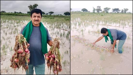 ನವಲಗುಂದ ತಾಲೂಕಿನ ಮೊರಬ ಗ್ರಾಮದ ರೈತ ಅಶೋಕ ಕೊಟಬಾಗಿ ಅವರ ಈರುಳ್ಳಿ ಬೆಳೆಯ ಹೊಲ ಜಲಾವೃತ ದೃಶ್ಯ.