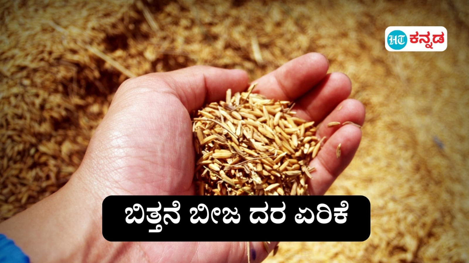 ಹಿಂಗಾರು ಹಂಗಾಮು: ಗೋಧಿ, ಕಡಲೆ ಬಿತ್ತನೆ ಬೀಜ ಪೂರೈಕೆ ಕಡಿಮೆ, ಬೆಲೆ ಏರಿಕೆಯ ಬಿಸಿಗೆ ಕೃಷಿಕರು ಕಂಗಾಲು