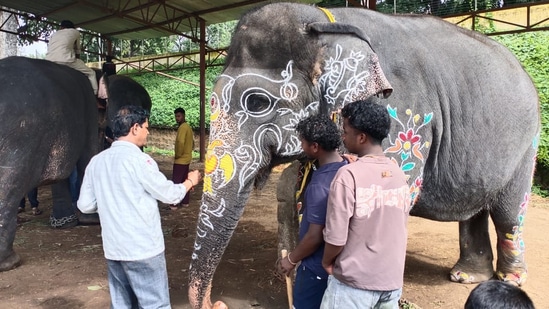 ಅರಮನೆ ಆವರಣದ ನೀರಿನ ತೊಟ್ಟಿ ಬಳಿ ಸ್ನಾನ ಮಾಡಿಸಿದ ಬಳಿಕ ಆನೆಗಳಿಗೆ ಸಿಂಗಾರವನ್ನು ಮಾಡಲಾಯಿತು.