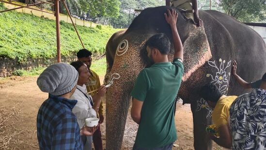 ಕಲಾವಿದ ನಾಗಲಿಂಗಪ್ಪ ನೇತೃತ್ವದಲ್ಲಿ ಗಜಪಡೆಗೆ ಬಣ್ಣ ಹಚ್ಚುವ ಕಾರ್ಯ ನಡೆಯಿತು.