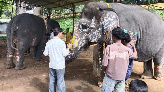 ಹುಣಸೂರು ಮೂಲದ ಒಟ್ಟು 8 ಕಲಾವಿದರಿಂದ ದಸರಾ ಆನೆಗಳಿಗೆ ವಿಶೇಷ ಬಣ್ಣದ ಅಲಂಕಾರವನ್ನು ಮಾಡಲಾಗಿದೆ.