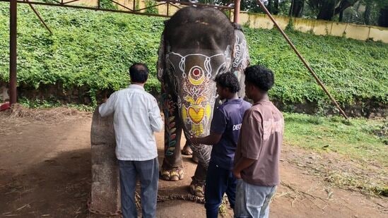 ಆನೆಗಳ ಕಿವಿ ಮೇಲೆ ಶಂಖ, ಚಕ್ರ, ಸೊಂಡಿಲ ಮೇಲೆ ಗಂಡಭೇರುಂಡ, ಹೂವು, ಎಲೆ, ಬಳ್ಳಿ, ದಂತದ ಹಿಂಭಾಗ ಗಿಳಿ, ಎಲೆ, ಕೆನ್ನೆಯ ಮೇಲೆ ಹೂವು, ಬಳ್ಳಿ, ಮೊಗ್ಗು, ಎಲೆ, ಕಾಲುಗಳ ಮೇಲೆ ಪಕ್ಷಿಯನ್ನು ಬಿಡಿಸಲಾಗಿದೆ.