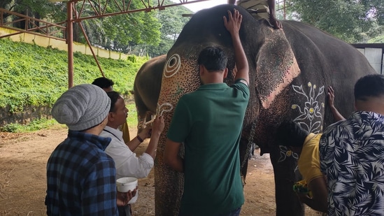 ಆನೆಯ ಕಣ್ಣಿನ ಸುತ್ತ ಎಲೆ ಆಕೃತಿ, ಹಣೆಯ ಮೇಲೆ ನಾಮ ಮತ್ತು ಸುರುಳಿ ಚಿತ್ರ ಬಿಡಿಸಲಾಗಿದೆ. ಜಂಬೂಸವಾರಿಯ ಆನೆಗಳ ಅಲಂಕಾರದ ಕಾರ್ಯ ಮುಕ್ತಾಯಗೊಂಡಿದೆ.