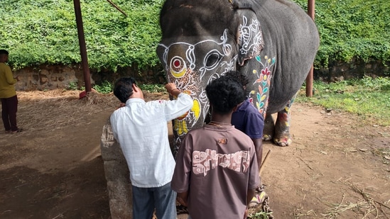 ಅಭಿಮನುಷ್ಯ ನೇತೃತ್ವದ ಗಜಪಡೆ ಜಂಬೂಸವಾರಿಗೆ ಮಧುವಣಗಿತ್ತಿಯಂತೆ ಸಿಂಗಾರಗೊಂಡಿವೆ. ಇಂದು ಸಂಜೆ 4 ರಿಂದ 4.30 ರ ಶುಭ ಕುಂಭಲಗ್ನದಲ್ಲಿ ನಾಡ ಅಧಿವೇತೆ ಚಾಮುಂಡಿಯನ್ನು &nbsp;ಅಂಬಾರಿಯಲ್ಲಿ ಇಟ್ಟು ಪುಷ್ಪಾರ್ಚನೆ ಬಳಿಕ ಜಂಬೂಸವಾರಿ ಮೆರವಣಿಗೆ ಸಾಗಲಿದೆ.